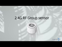 2.4G draadloze netwerkcontroller geschikt voor slimme LED-armaturen